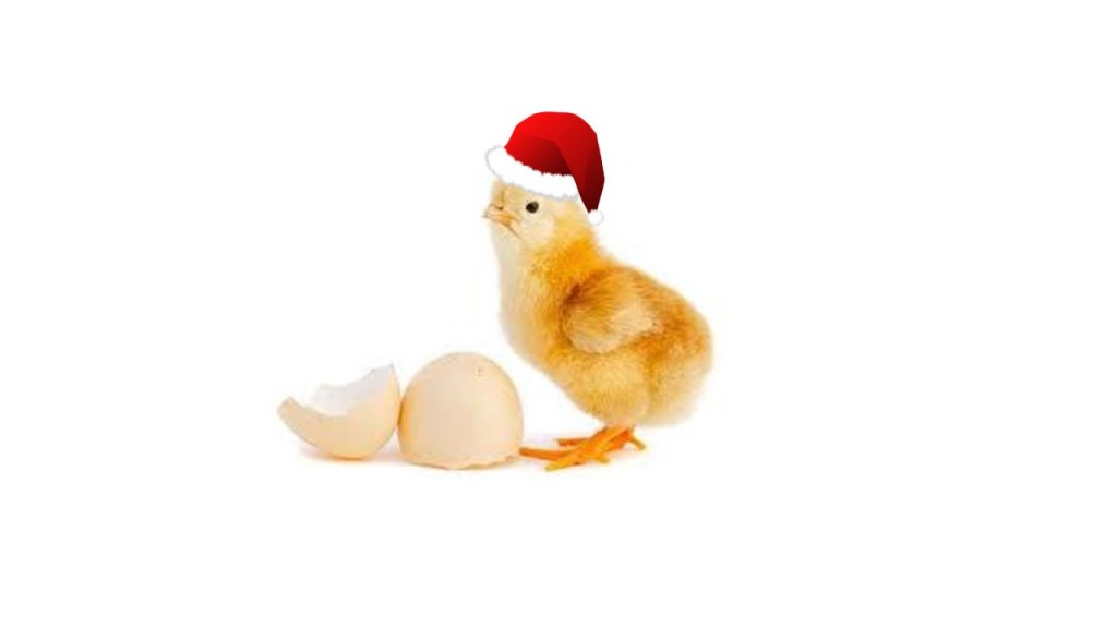 xmas-chicken-jpeg